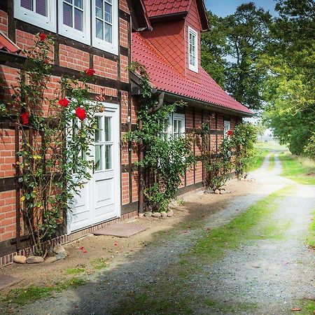 Отель Landhaus Elbeflair Bei Doemitz Lenzerwische Экстерьер фото