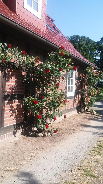 Отель Landhaus Elbeflair Bei Doemitz Lenzerwische Экстерьер фото